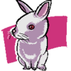 Puffbunny's Avatar