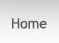 Home Button