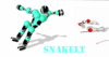 Snakelt's Avatar