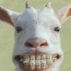 DrGoat's Avatar